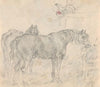 Horses in a barn with chickens and a rooster…