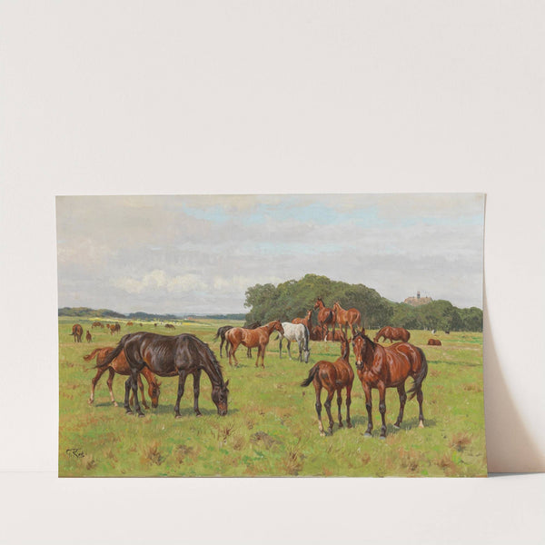 Horses in a Meadow by Georg Carl Koch