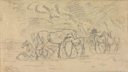 Horses in a Meadow