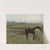 Horses in a Meadow (1871) by Edgar Degas