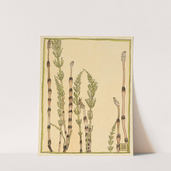 Horsetail by Hannah Borger Overbeck