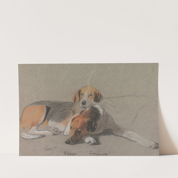 Hounds; Fleur and Frogmore (1878) by Archibald Thorburn