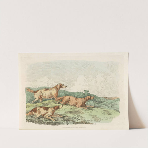 Hounds. (1817-1818) by Henry Thomas Alken