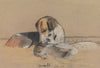 Hounds; Seagull (1878)