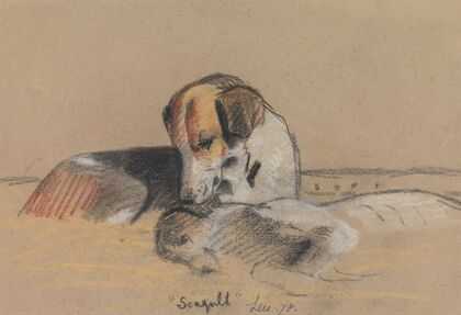 Hounds; Seagull (1878)
