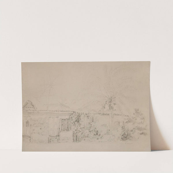 Houses and Palm Trees (c.1855) by Camille Pissarro