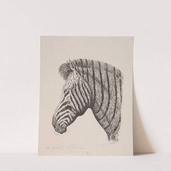 Hoved af en Zebra by Alexander Blom