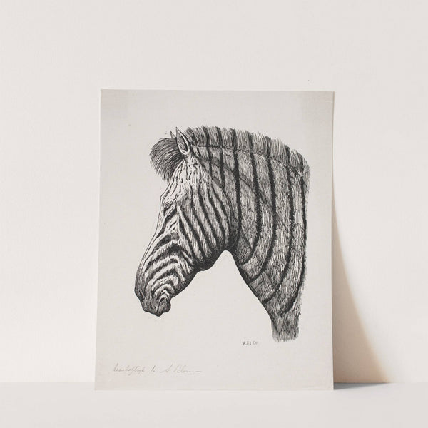 Hoved af en Zebra by Alexander Blom