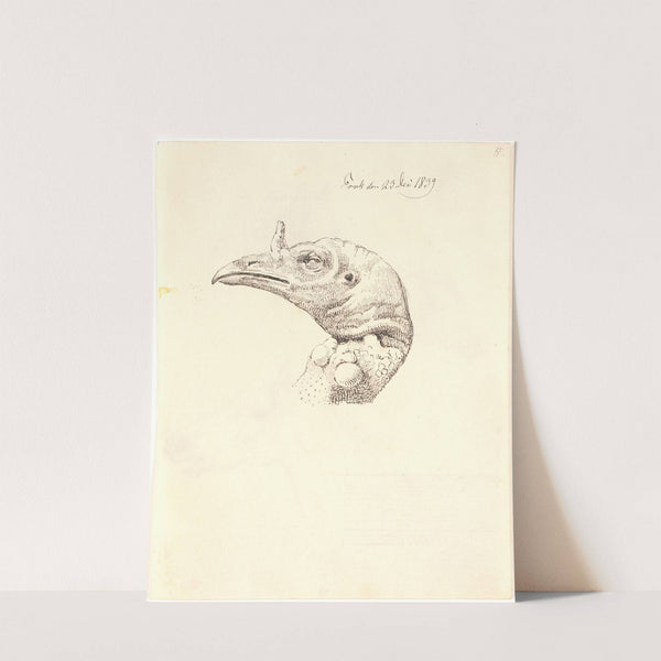 Hovede af en død kalkunhøne by Johan Thomas Lundbye