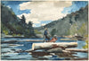 Hudson River, Logging