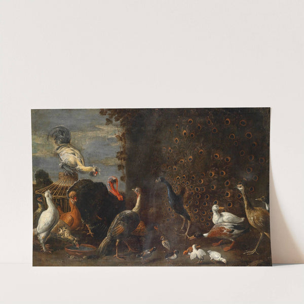 Hühnerhof mit Pfau Truthahn und Enten by Adriaen van Utrecht (circle)