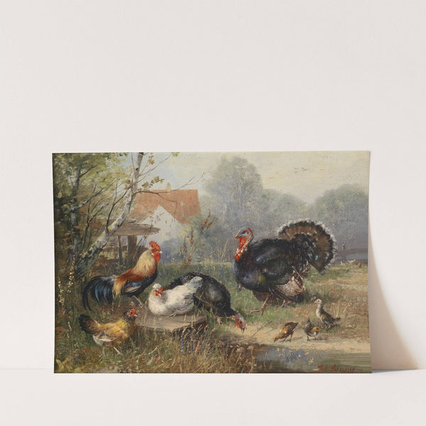 Hühnervolk und ein Truthahn by Julius Scheuerer