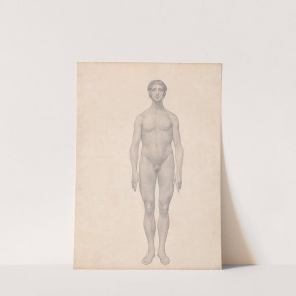 Human Figure, Anterior View, Undissected (1795 to 1806) by George Stubbs