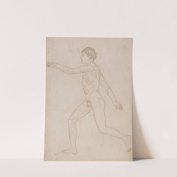 Human Figure, Lateral View (1795 to 1806) by George Stubbs