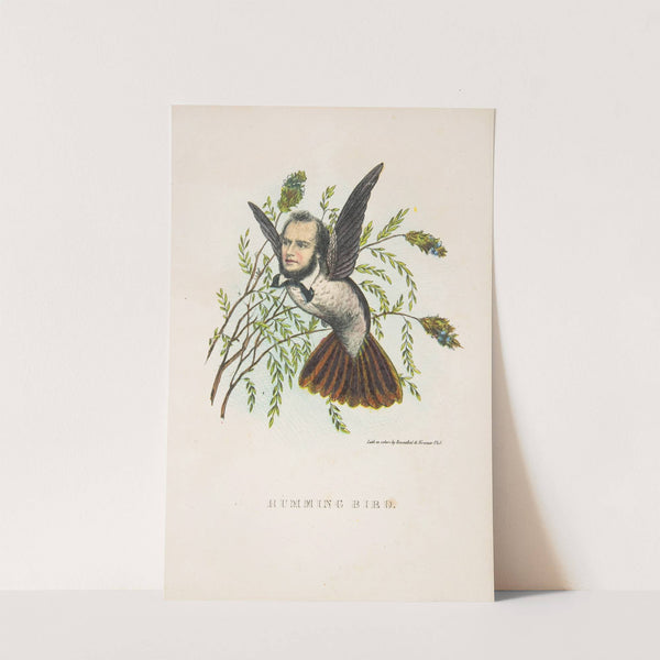 Humming Bird (Thomas B. Florence) (1851) by Henry Louis Stephens