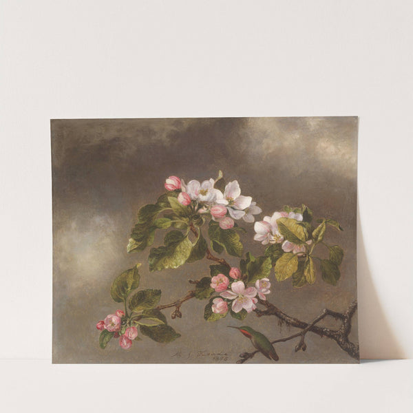 Hummingbird and Apple Blossoms (1875) by Martin Johnson Heade