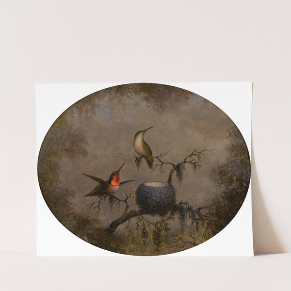 Hummingbirds and Their Nest (1863) by Martin Johnson Heade