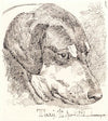 Hundehoved, Terry