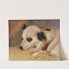 Hundekopf by Johann Matthias Ranftl