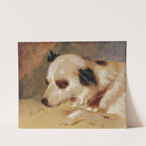 Hundekopf by Johann Matthias Ranftl