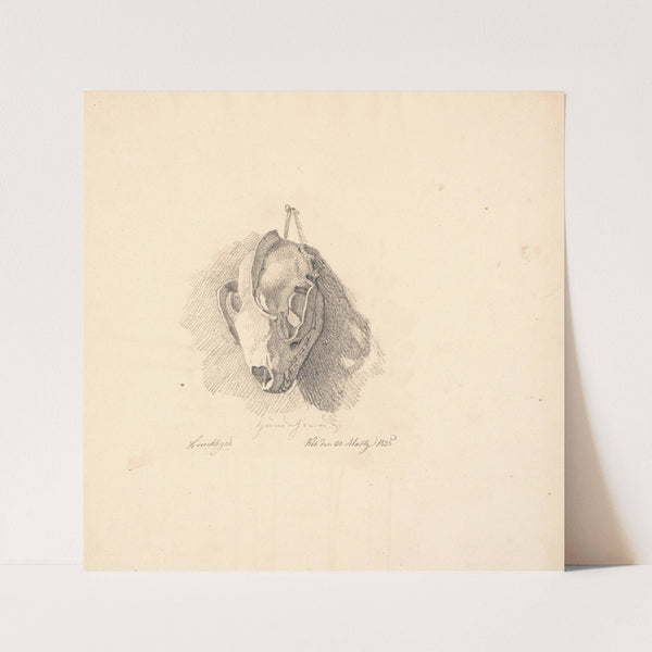 Hundekranium (1835) by Johan Thomas Lundbye