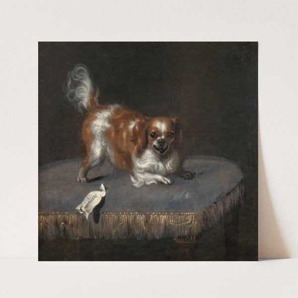 Hunden Courtisane by David Klöcker Ehrenstrahl