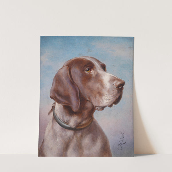 Hundeportrait by Carl Reichert