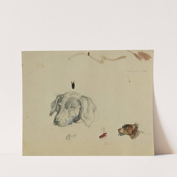 Hundestudie by Johann Peter Krafft