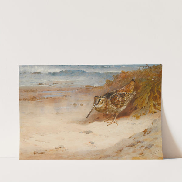 Hungry And Homeless (1908) by Archibald Thorburn