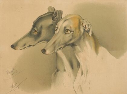Hunting dogs