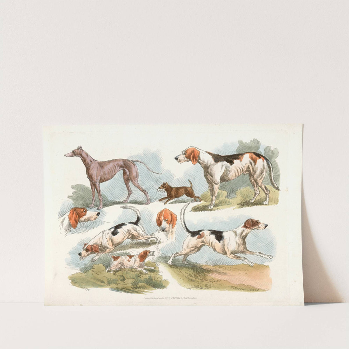 Hunting dogs (1817-1818) by Henry Thomas Alken