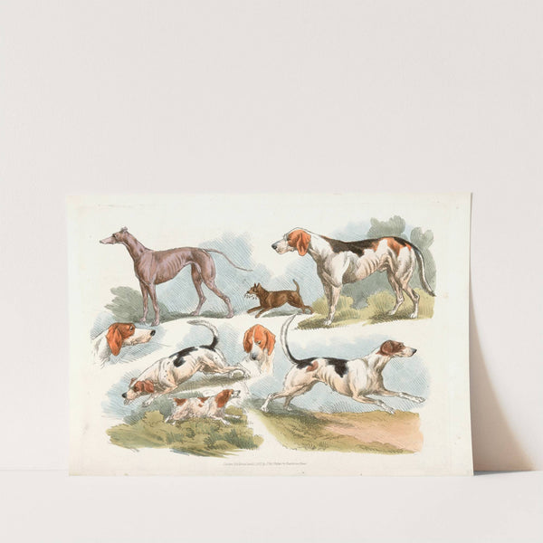 Hunting dogs (1817-1818) by Henry Thomas Alken