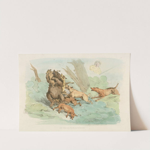 Hunting dogs attacking a bear (1817-1818) by Henry Thomas Alken