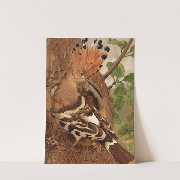 Huppe by Léo-Paul Robert