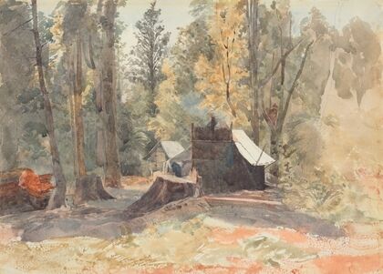 Hut of the ‘Italian party’, old diggings on Buller — size preview