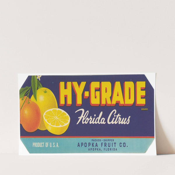 Hy-Grade Brand Florida Citrus Label (1930-1950)