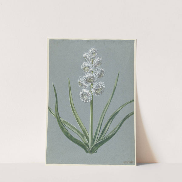 Hyacint Markgraaf Karel van Baden Durlach (1720 - 1729) by Hendrik Budde