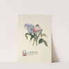 Hyacinth and rose by Jane Elizabeth Giraud