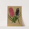 Hyacinths 3 (1872-1881) by Arentina Hendrica Arendsen