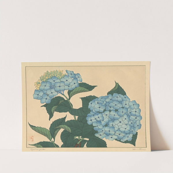 Hydrangea by Sakai Hōitsu