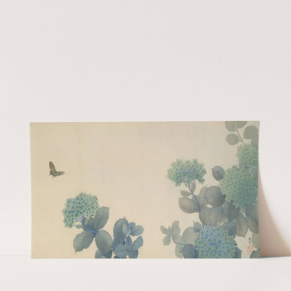 Hydrangeas (1902) by Hishida shunso