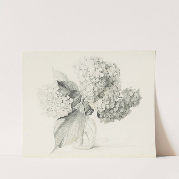 Hydrangeas in a vase by Sergey Chekhonin