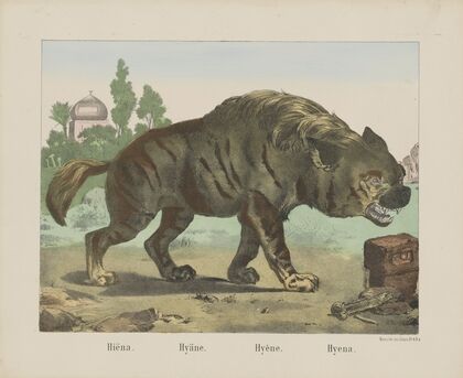 Hyena (1829-1880)
