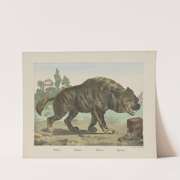 Hyena (1829-1880) by Joseph Scholz