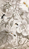 Hymenopteres Pl. X
