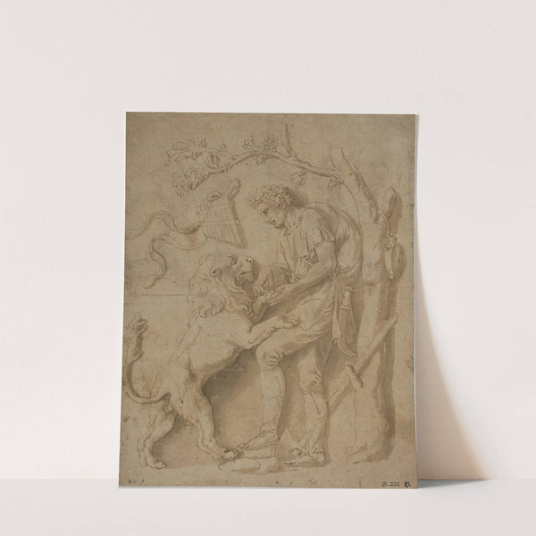 Hyrde fjerner en torn fra en løves pote Studie til en af stucco reliefferne i Giardino della Grotta, Palazzo Tè, Mantua by Giulio Romano