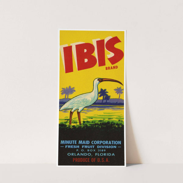 Ibis Brand Fruit Label (1930-1950)