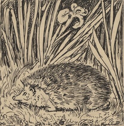 Igel (ca 1905)