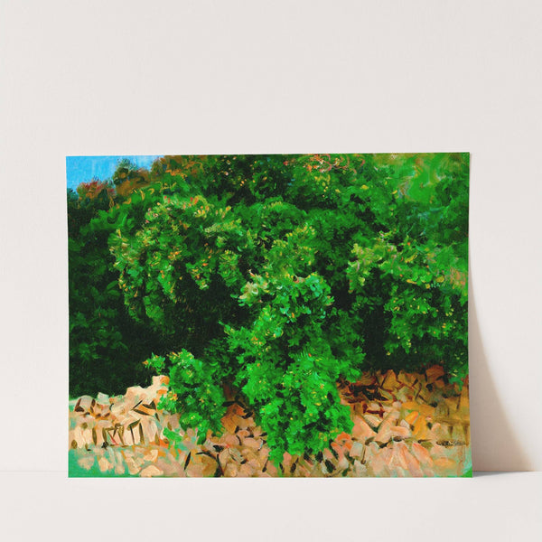 Ilex Wood. Majorca by John Singer Sargent