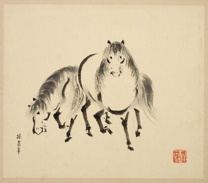 Illustrated book of horses Pl.10 (18th Century) — size preview